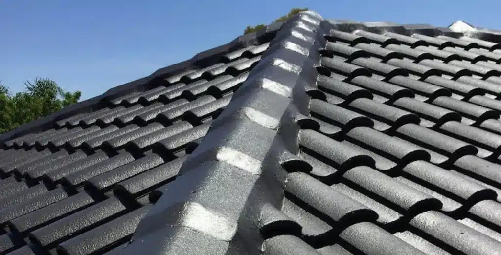 roof painters adelaide